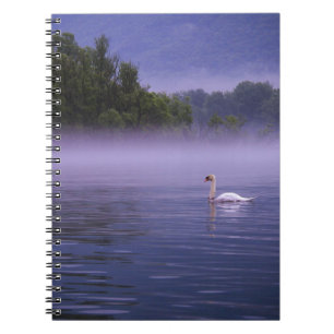 Swan on lake spiral notebook