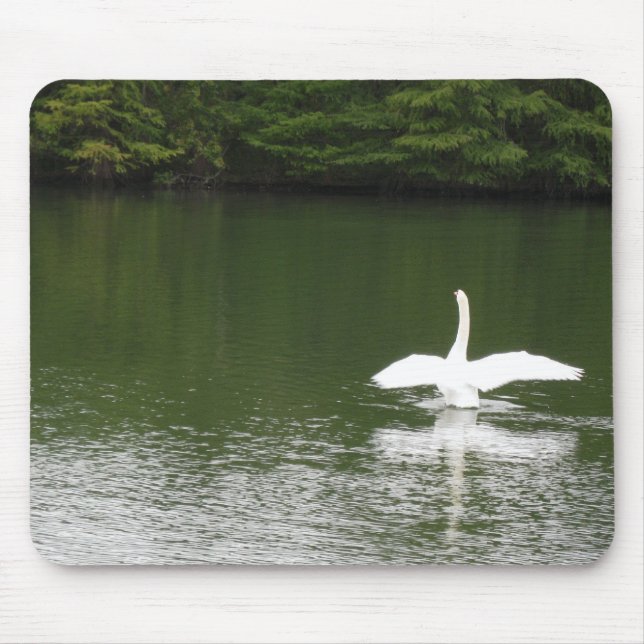 Swan on Town Lake Mouse Pad (Front)