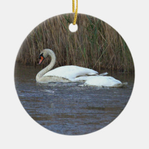 Swan Photo Ornament