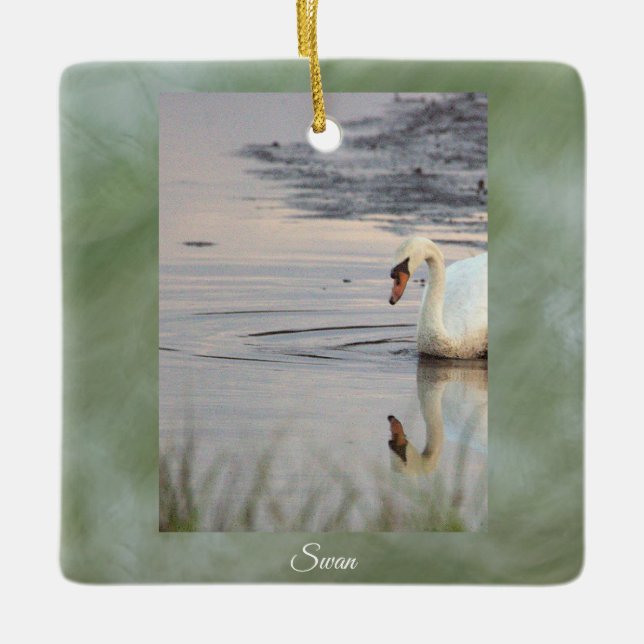 Swan Photo Ornament  (Front)