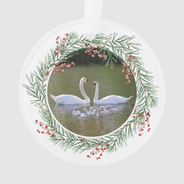 Swan photo with holly berry frame ornament (Front)
