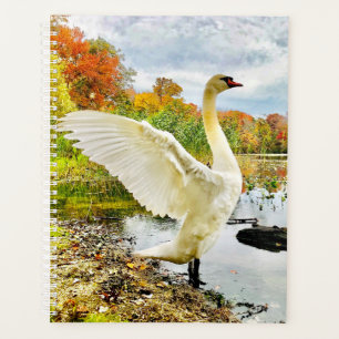 Swan Planner