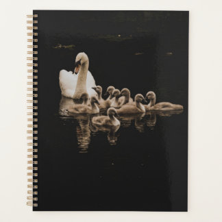 Swan Planner