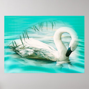 Swan Poster