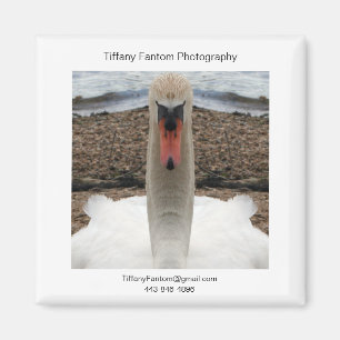 Swan Promo Piece Magnet