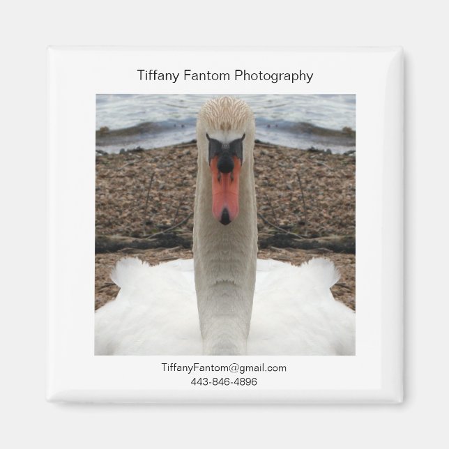 Swan Promo Piece Magnet (Front)