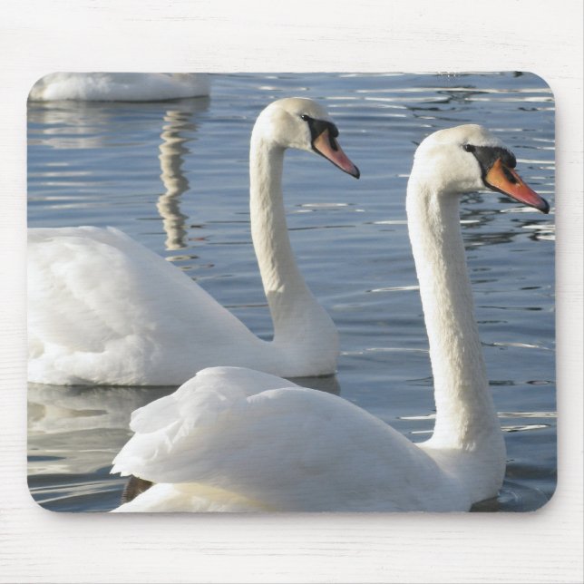 Swan Reflections Mouse Pads (Front)