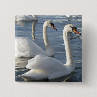 Swan Reflections Pin