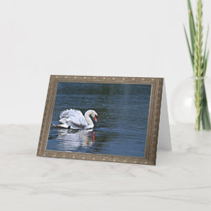 swan ruffled feathers 1 notecard
