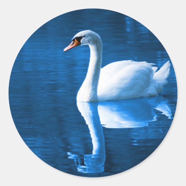 Swan Sticker (Front)