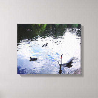 SWAN SWIMMING IN A ENGLISH GARDEN poster Canvas Print