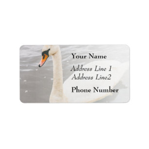 Swan Swimming In A Lake, Animal Photograph Label