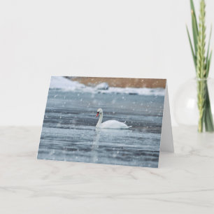 Swan swimming in the snowing winter conditions holiday card