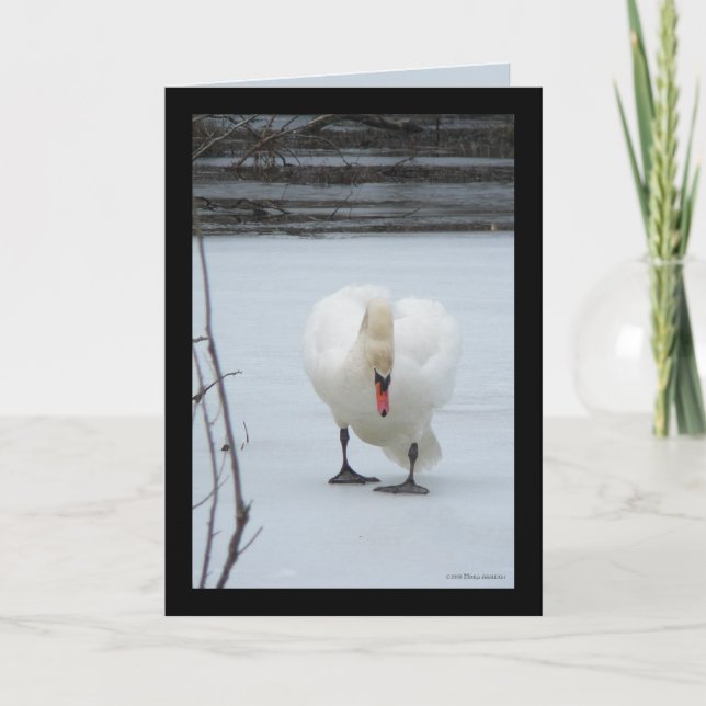 Swan Territory Card (Front)