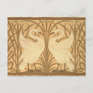 Swan wallpaper design postcard