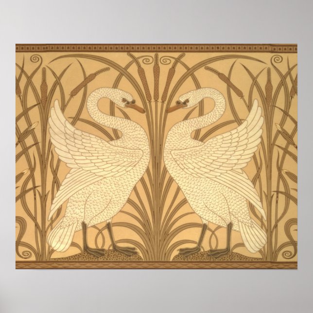 Swan wallpaper design poster (Front)