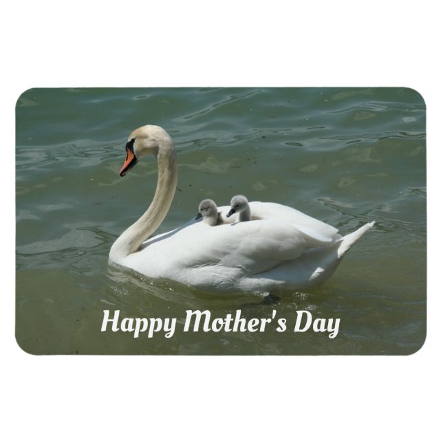 Swan With Babies Flexible Photo Magnet (Horizontal)