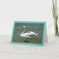 Swan With Babies Mother's Day Card