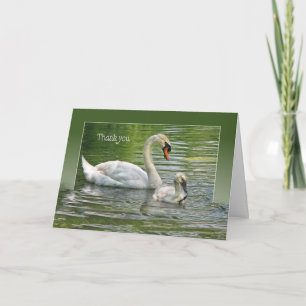 Swan with cygnet in water for thank you card