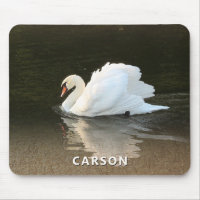 Swan with Reflection on Water Mouse Pad