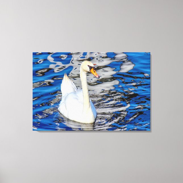 Swan with Reflections Canvas Print (Front)