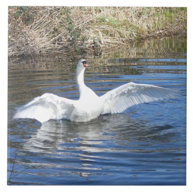 Swan with Spread Wings in Water Ceramic Tile (Front)