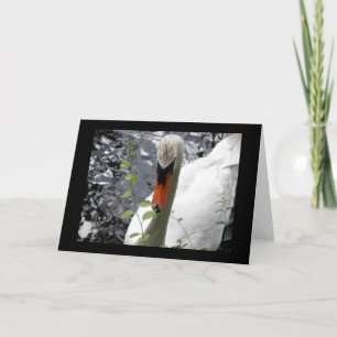 Swan with Vine Greeting Card