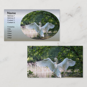 Swan with Wings Spread Business Card