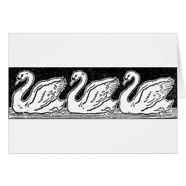 Swans (Front Horizontal)