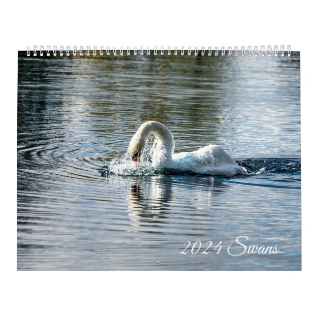 Swans 2024 calendar (Cover)