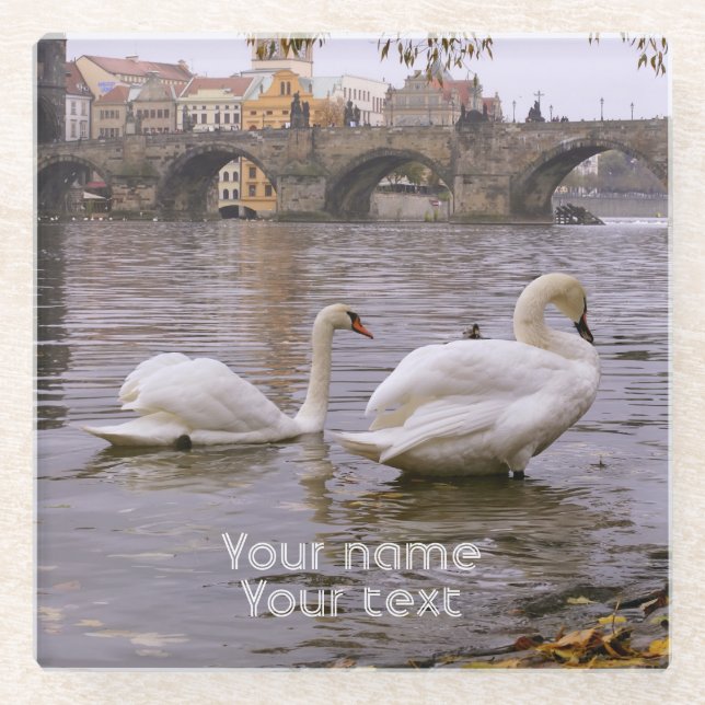 Swans and Charles bridge in Prague Glass Coaster (Front)