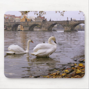 Swans and Charles bridge in Prague Mouse Pad