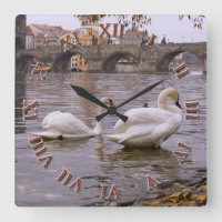 Swans and Charles bridge in Prague