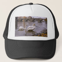 Swans and Charles bridge in Prague