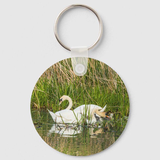Swans and cygnets in lake key ring (Front)