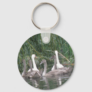 Swans and Cygnets Keychain