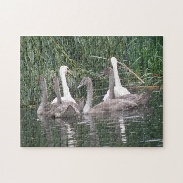 Swans and Cygnets Puzzle (Horizontal)