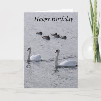 Swans Birthday Card