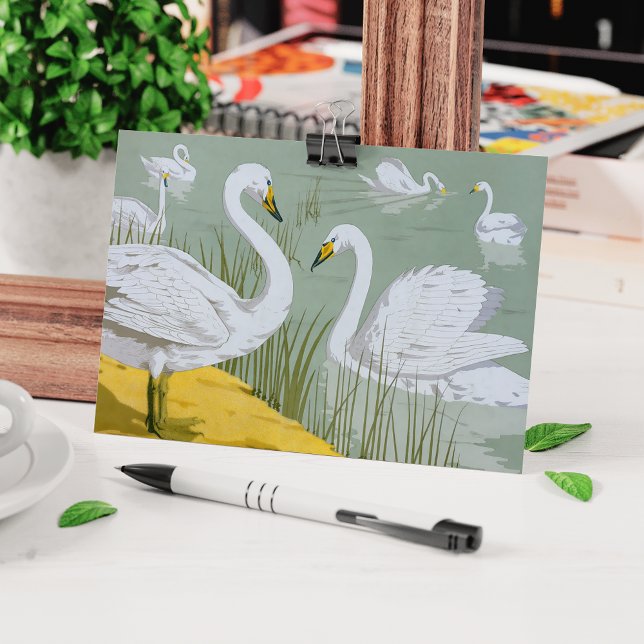 Swans By Verneuil Postcard (Creator Uploaded)