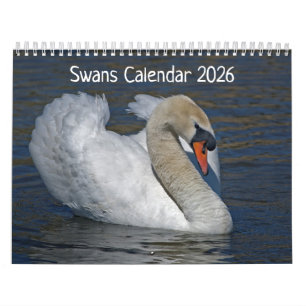 Swans Calendar 2025