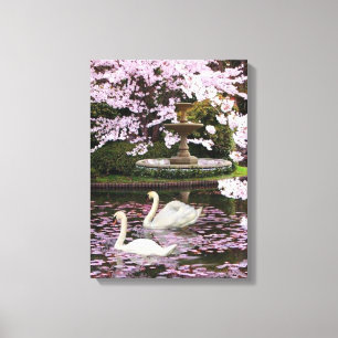 Swans Canvas Print