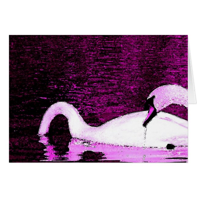 Swans Feeding Purple (Front Horizontal)
