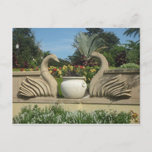 Swans Guarding Hollis Gardens Postcard (Front)