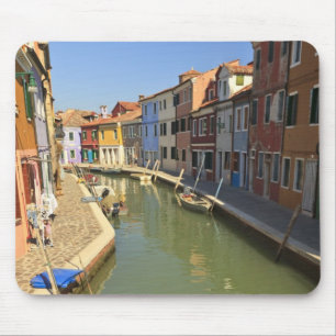 Swans in canal, Burano Island, Venice, Italy Mouse Pad