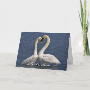 Swans in Love Card - Valentine