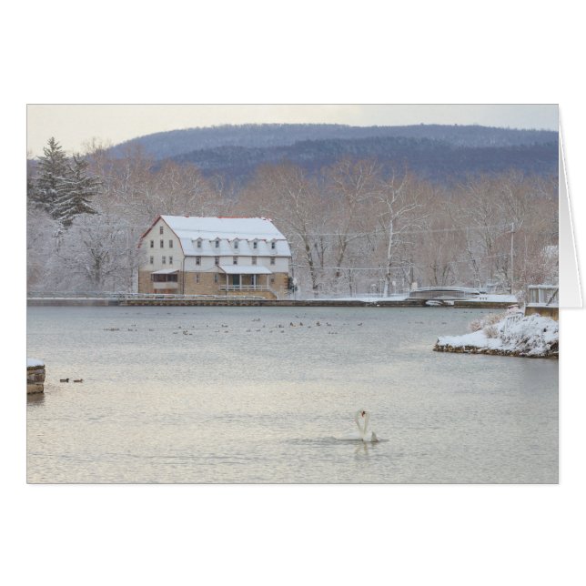 Swans in pond with mill and hills (Front Horizontal)
