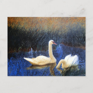 Swans in Reeds by Bruno Liljefors Postcard