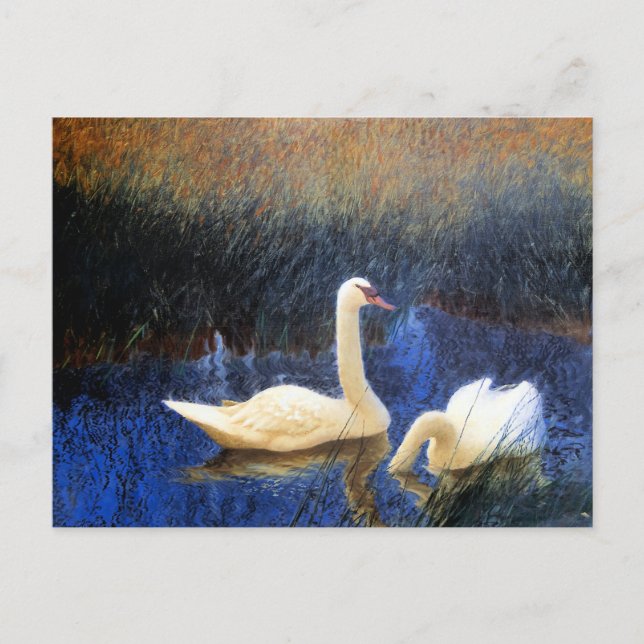 Swans in Reeds by Bruno Liljefors Postcard (Front)