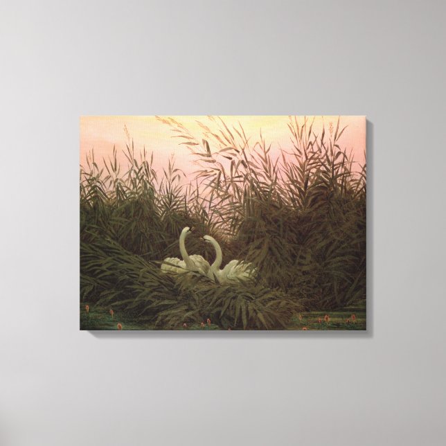 Swans in the Reeds, c.1820 Canvas Print (Front)