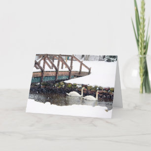 Swans in Winter Holiday Card